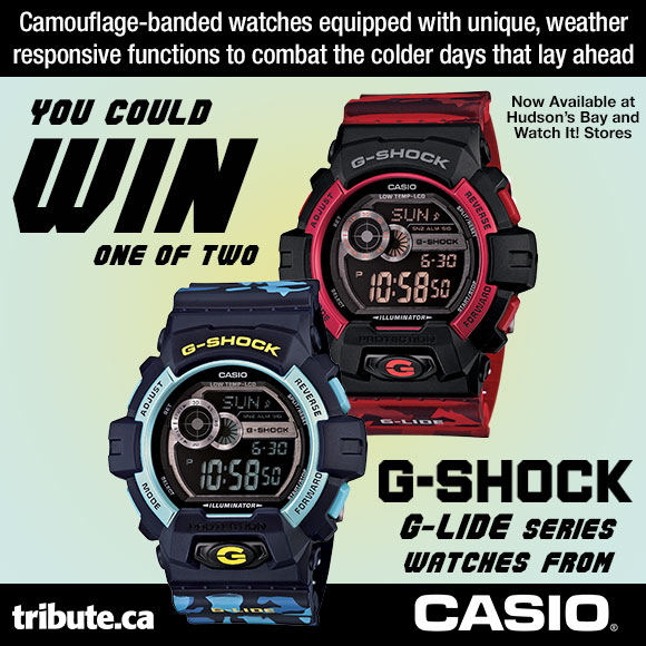 casio a1488 watch