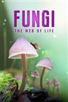 Fungi: The Web of Life