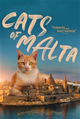 Cats of Malta