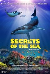 Secrets of the Sea 3D