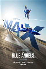 The Blue Angels: Special Edition 3D