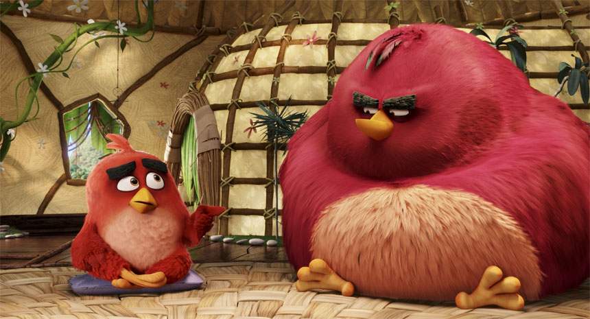 Buy The Angry Birds Movie (2016) Hq