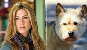 Jennifer Aniston gets tattoo for dog « Celebrity Gossip and Movie News