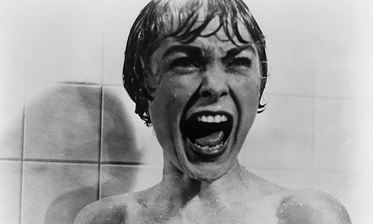 Marion Crane In Psycho Celebrity Gossip And Movie News