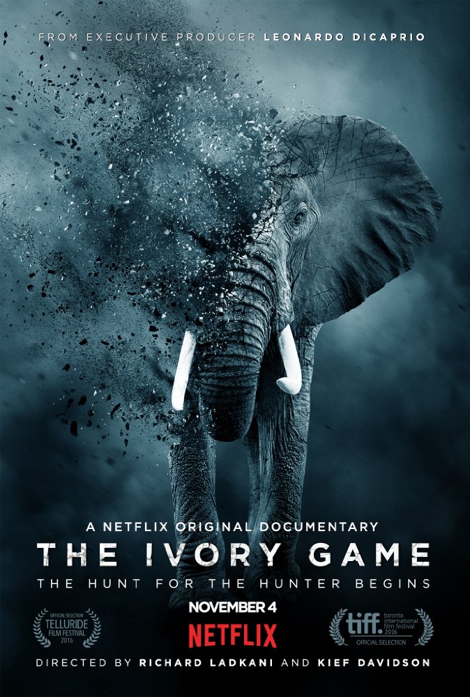 Netflix S The Ivory Game Q A With Directors Celebrity Gossip And   The Ivory Game Poster 