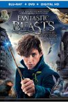 New on DVD - Fantastic Beasts, Patriots Day and more