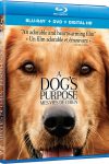 A Dog's Purpose is a heartwarming story - Blu-ray review