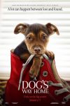 New movies in theaters - A Dog's Way Home and more