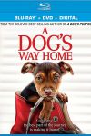 New on DVD - A Dog's Way Home, Holmes & Watson and more!
