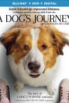 New on DVD - A Dog's Journey, The Hustle and more!
