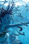 Avatar: The Way of Water three-peats at weekend box office