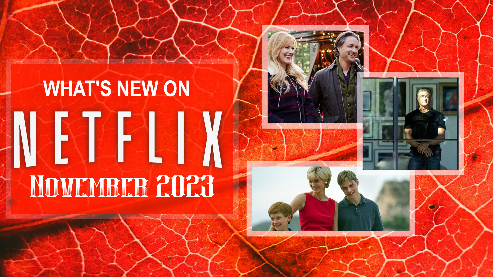 What’s new on Netflix Canada November 2023 and what’s leaving