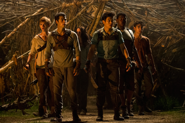 The Maze Runner | On DVD | Movie Synopsis and info