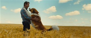 'A Dog's Journey' Trailer (2019) | Movie Trailers and Videos