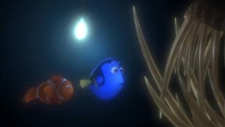 FINDING NEMO Trailer 1 (2003) | Movie Trailers And Videos